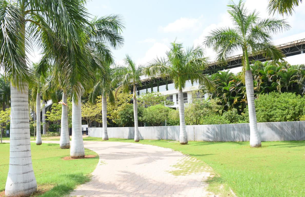 The green campus at Lakshmi School